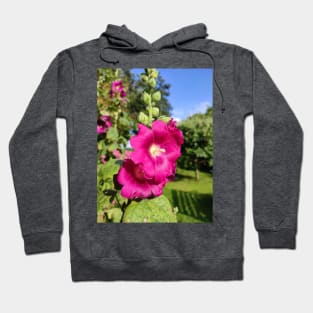 Hollyhock Heaven Hoodie